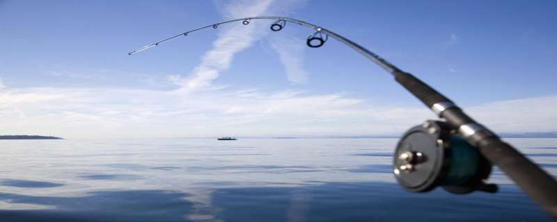 18尺鱼竿等于多少米